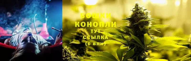 Каннабис OG Kush  закладка  Мытищи 